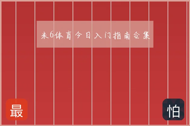米6体育今日入门指南合集